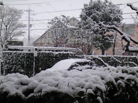 雪２.jpg